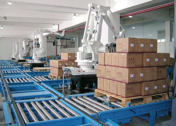 Case study of carton palletizer